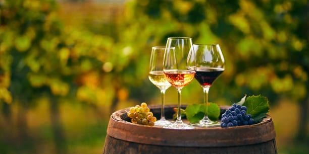 Bellarine Peninsula winery cellar door tasting room