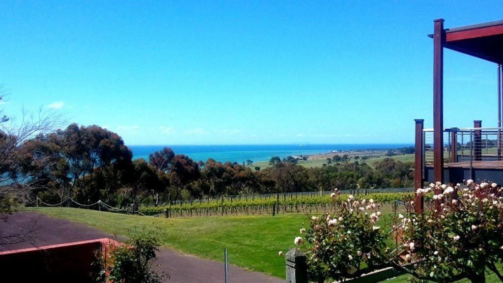 Jack Rabbit Vineyard winery restaurant overlooking the bay