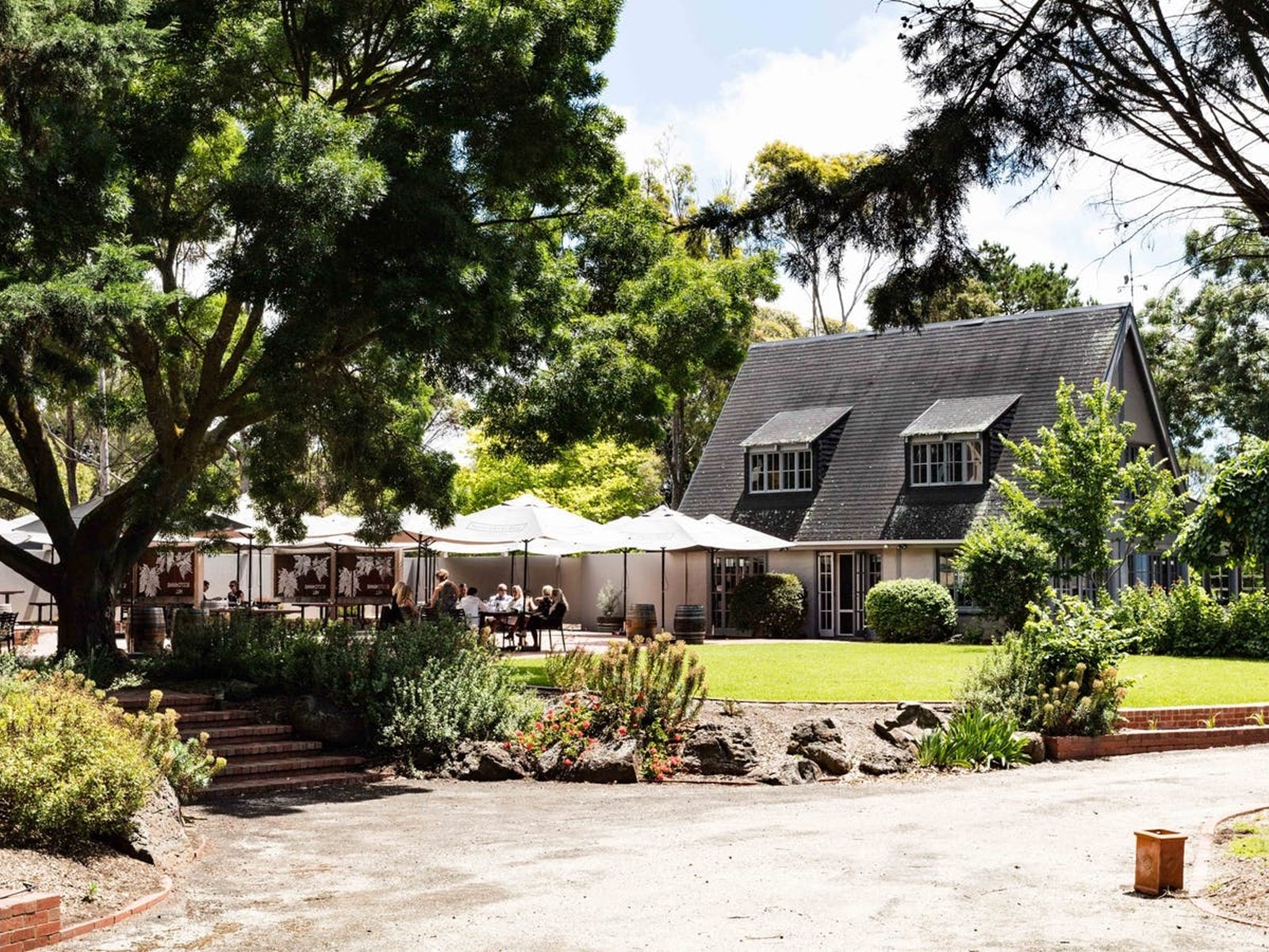 Scotchmans Hill winery cellar door Bellarine Peninsula